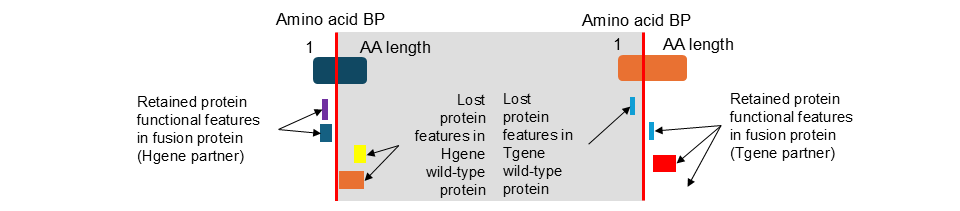 fgviewer annotation
