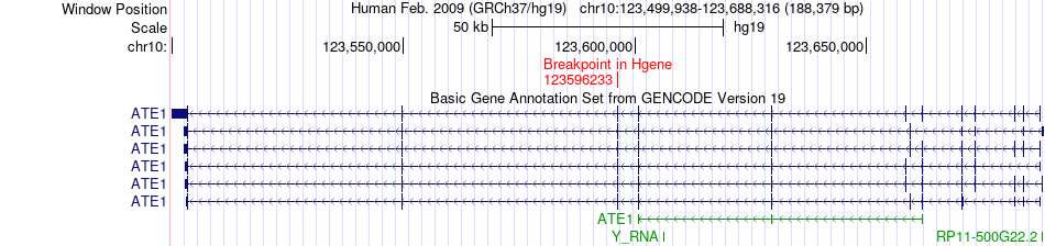all structure
