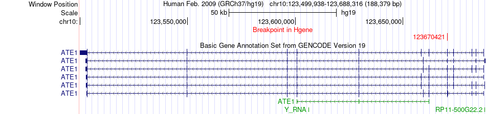all structure