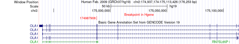 all structure