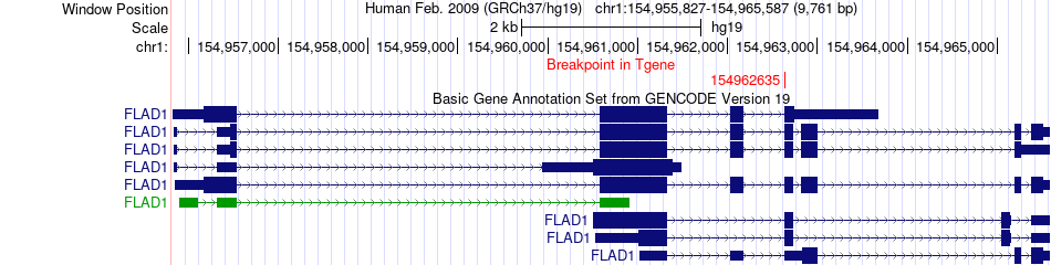 all structure