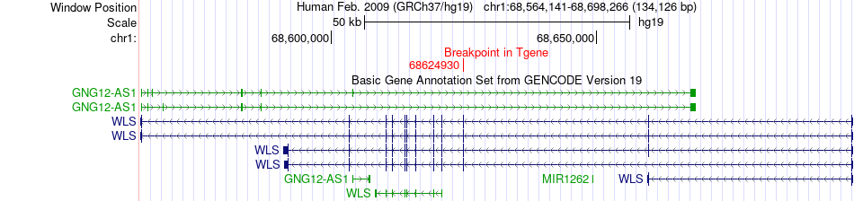all structure