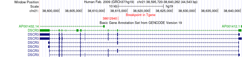 all structure