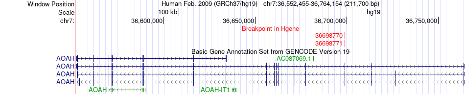 all structure