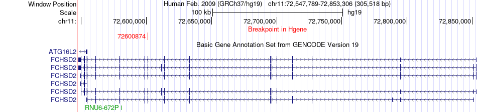 all structure