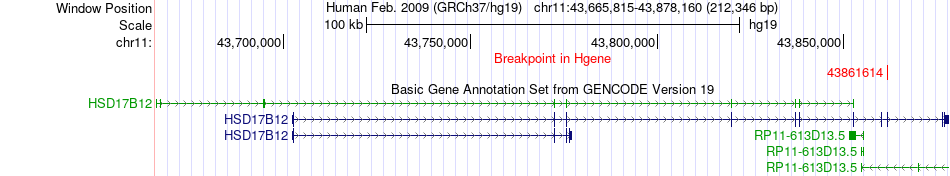 all structure