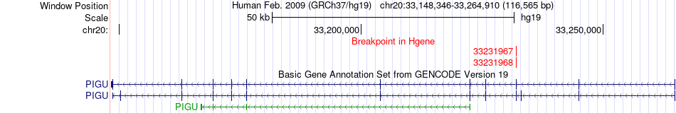 all structure