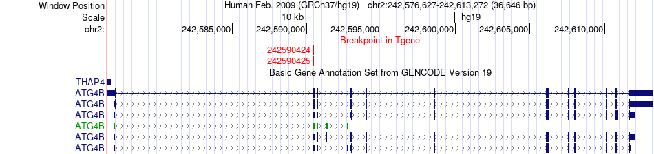 all structure