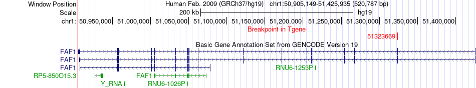 all structure