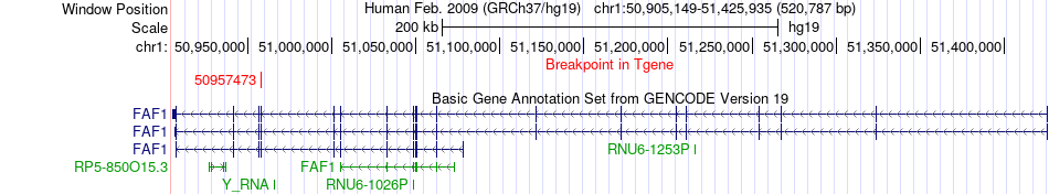 all structure