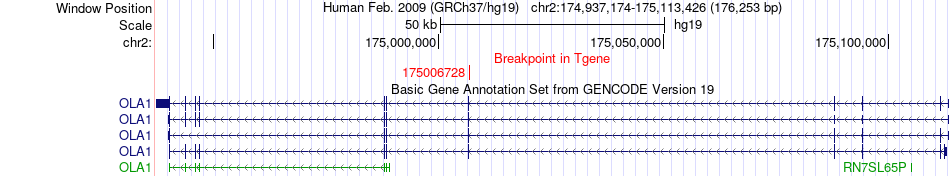 all structure