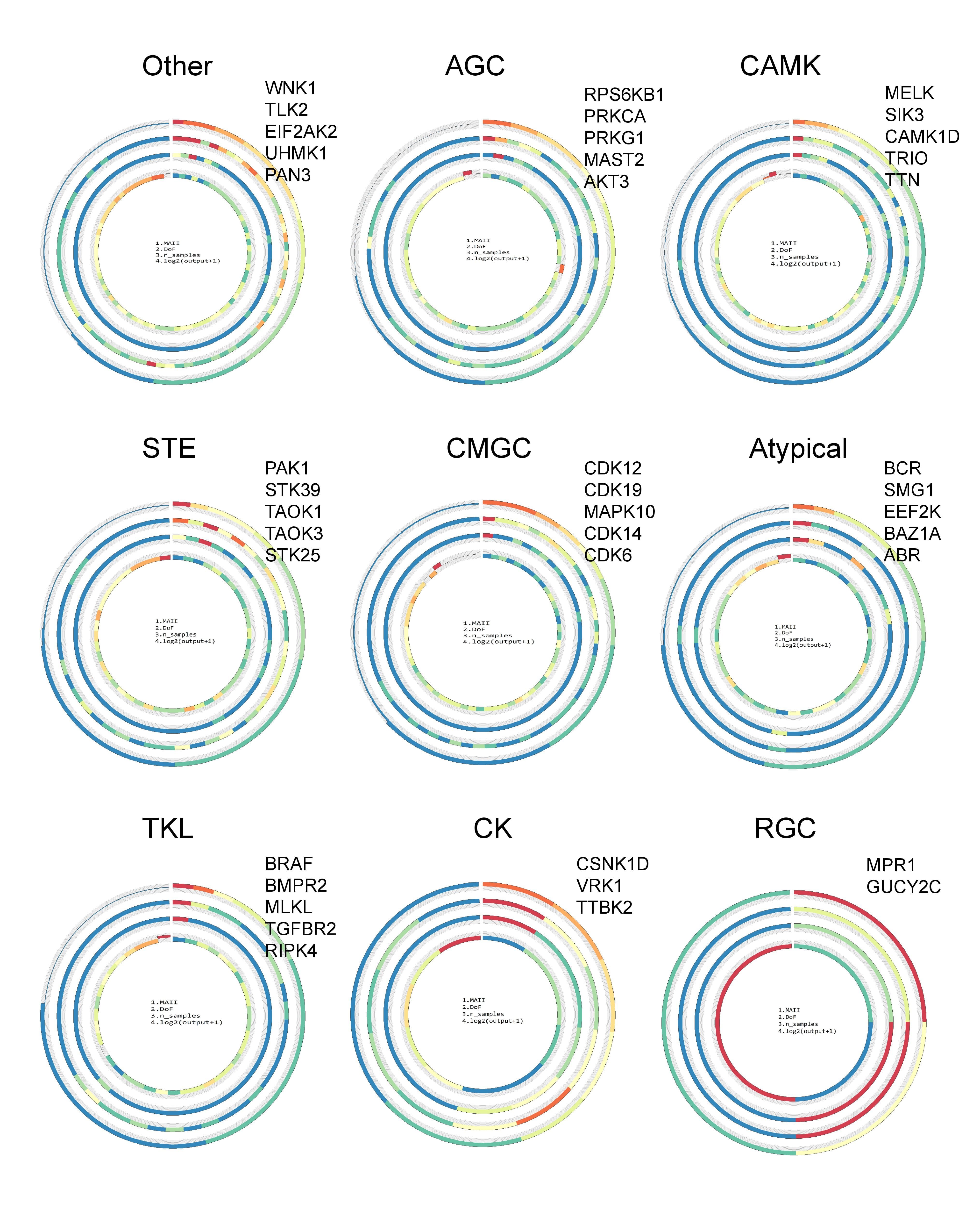 Circos plots of the assessment metrics of all other kinase groups