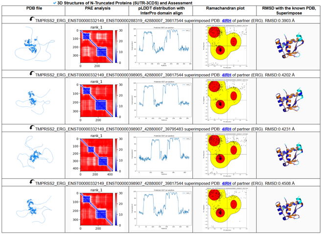 tmprss2-erg 3d