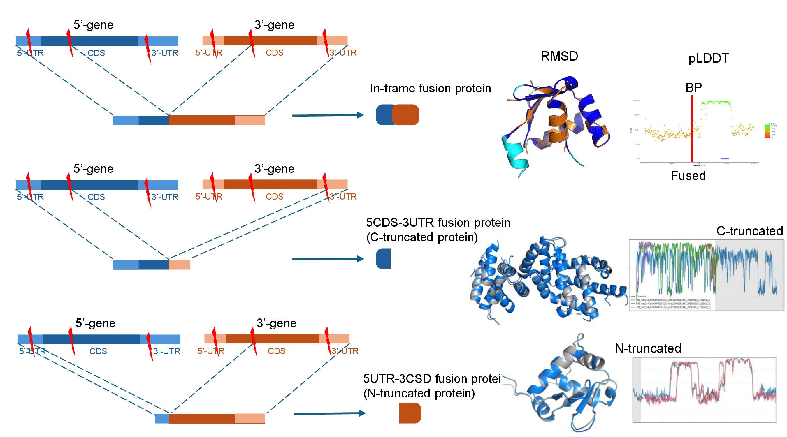 orf types protein